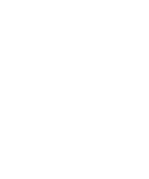 Логотип Zilant Media 